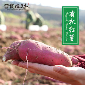 太行有机红薯  软糯香甜
