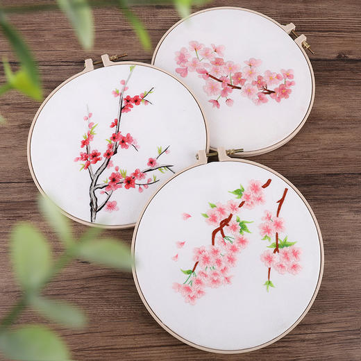 【东方美绣】繁花满园手工刺绣（材料包+ 20cm防竹绣绷） 商品图3