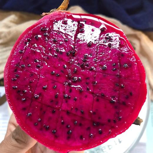 金都蜜宝红心火龙果（净重约4.5斤 ） 商品图2