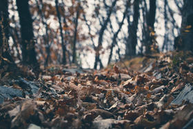 秋季皮肤、嘴唇、眼睛干燥怎么办？这些食疗调理方法，让你由内而外水嫩润泽！