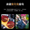 【 第2盒半价】初草堂清宫八珍葡萄糕 地道选材 真材实料 软糯香甜 150g 商品缩略图2
