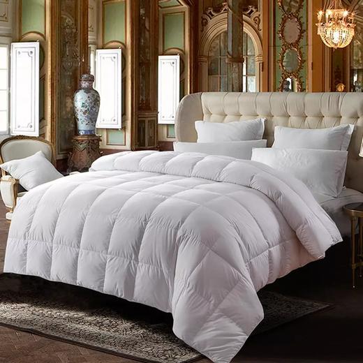 喜芙妮床上用品创意家居礼物黄金搭档羽绒被 200*230 CM 商品图0