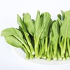 小白菜500g/份 商品缩略图0