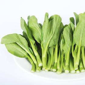小白菜500g/份