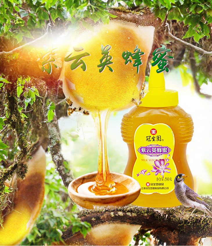 冠生园紫云英蜂蜜(os)580g