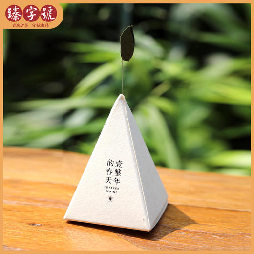 2019臻字号古树茶 品鉴分享系列 一整年的春天 60g/盒 商品图2
