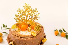 今日产品解析 | 秋意满满的摇钱树