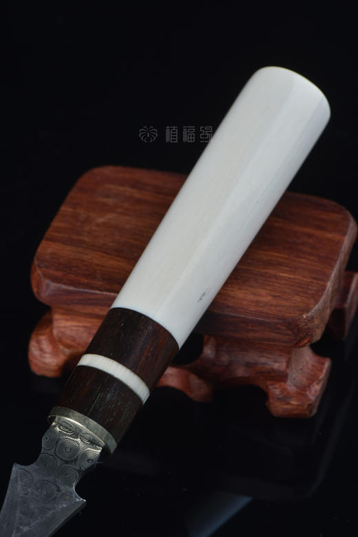 【淡】茶针3-ZX2009170(432) 商品图5