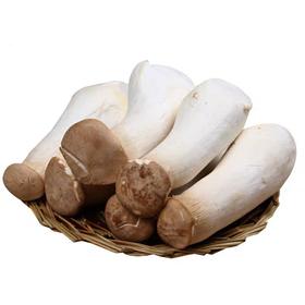 杏鲍菇    250g/份