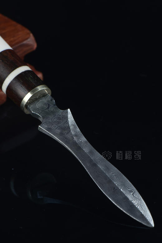 【淡】茶针3-ZX2009170(432) 商品图4