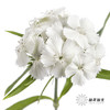 配花 | 相思梅白色 商品缩略图2