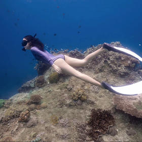 【行程】三亚分界洲岛PADI潜水考证OW/AOW/O+A联考/自由潜/持证