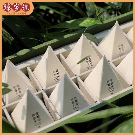 2019臻字号古树茶 品鉴分享系列 一整年的春天 60g/盒 商品图1