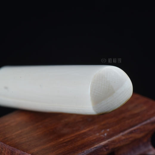 【淡】茶针3-ZX2009170(432) 商品图1