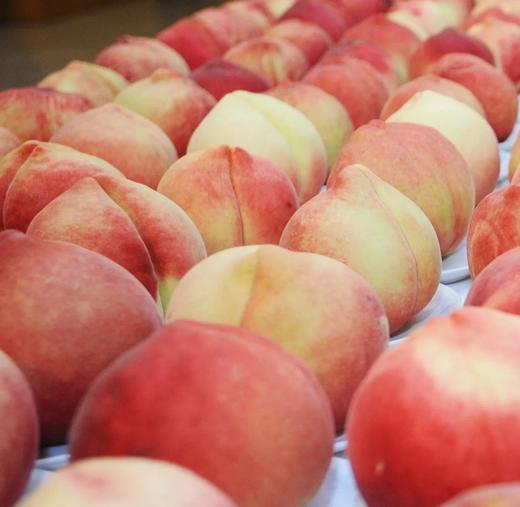 云南丽江雪桃 商品图6