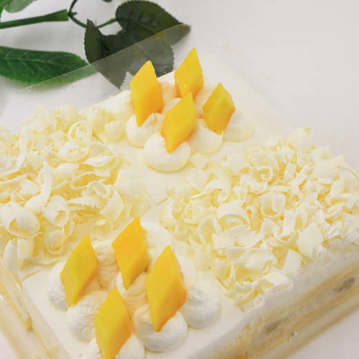 榴芒双拼 商品图2