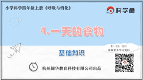 4.2.4《一天的食物》基础课程