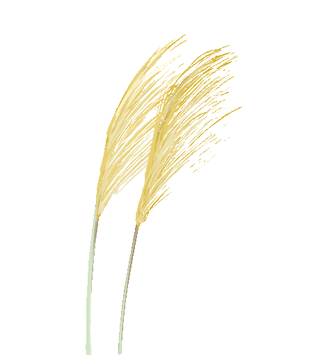 嗨，天气这么干燥，你润对了吗？