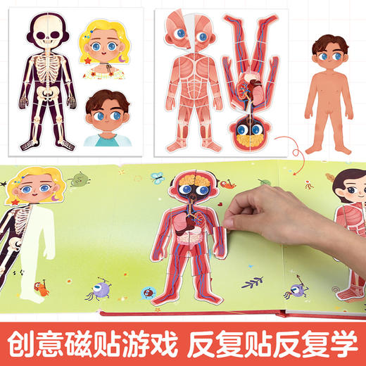 傲游猫-磁贴图解小百科 我们的身体 商品图3