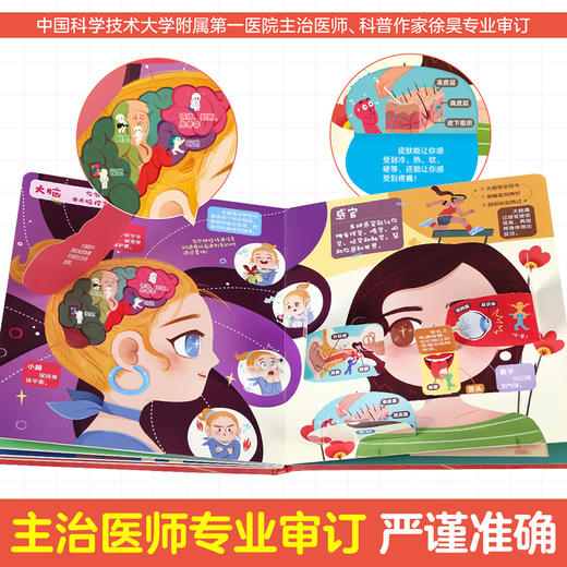 傲游猫-磁贴图解小百科 我们的身体 商品图5