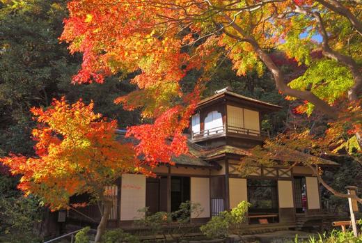 体验地道的日本传统文化（四） 商品图3