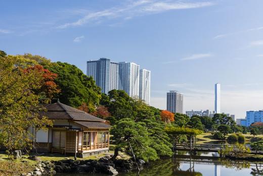 体验地道的日本传统文化（四） 商品图7