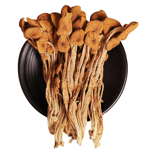 【爱心助农】仁化县特产茶树菇