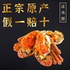 漾荡蟹 大闸蟹礼券 提货券 蟹券 送礼佳品 商品缩略图7