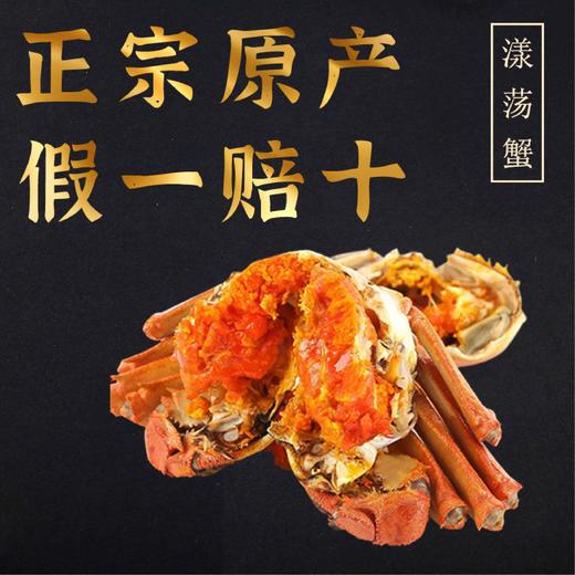 漾荡蟹 大闸蟹礼券 提货券 蟹券 送礼佳品 商品图7