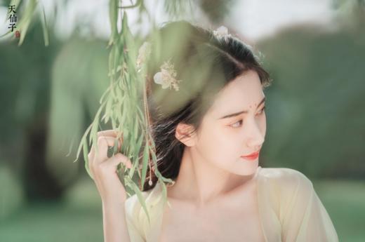 【天仙子】汉元素齐胸襦裙套装 商品图1