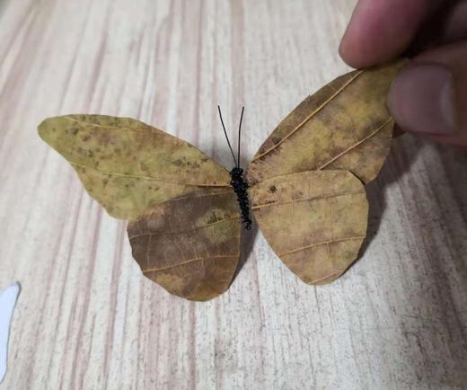 小鱼干包邮 商品图0