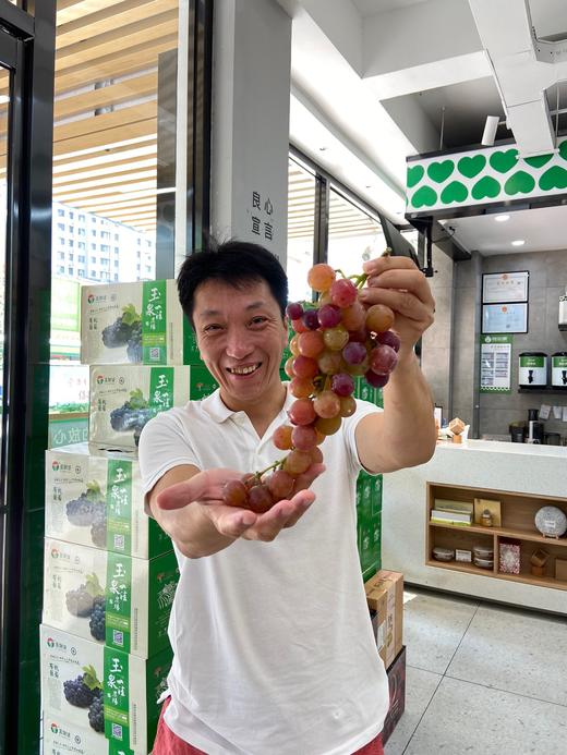 有机葡萄  5斤装 果大味甜，素有巨峰的个头，玫瑰香的味道 买五赠1（限济南市） 商品图0