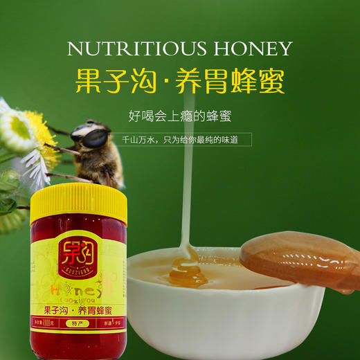 果子沟 养胃蜂蜜(1000g) 商品图0