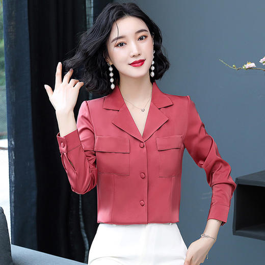 v领长袖女士秋装衬衫 秋季休闲职业装女款衬衣服薄款小衫 cccyq8355