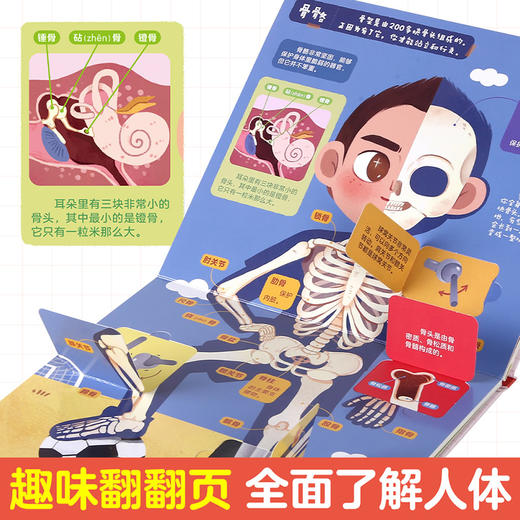 傲游猫-磁贴图解小百科 我们的身体 商品图4