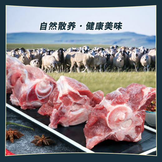 锡盟羔羊肉【羔羊脊骨】1000g装 火锅食材 商品图3