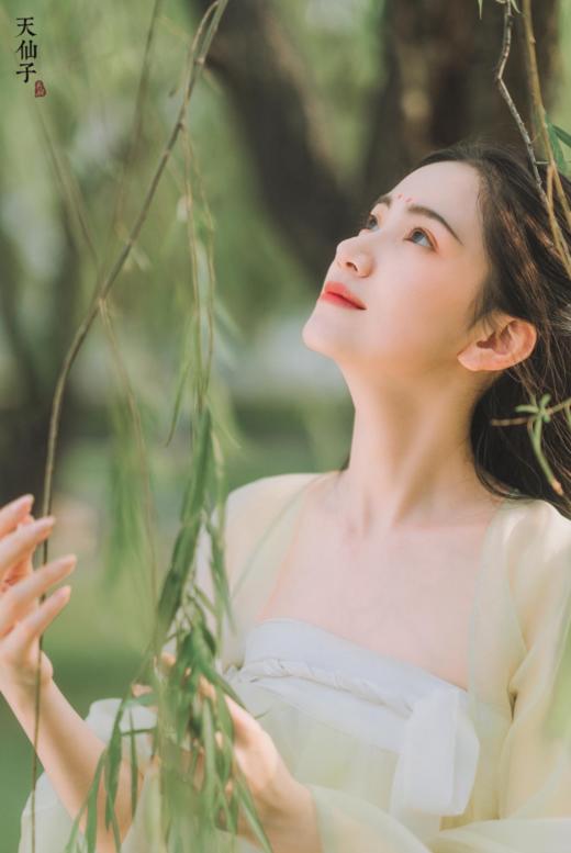 【天仙子】汉元素齐胸襦裙套装 商品图0