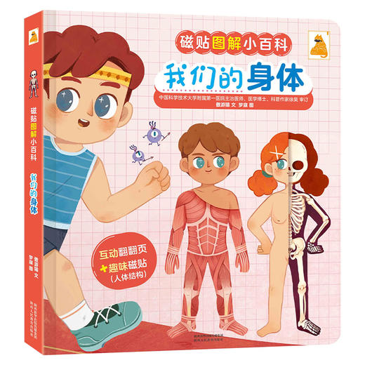 傲游猫-磁贴图解小百科 我们的身体 商品图0