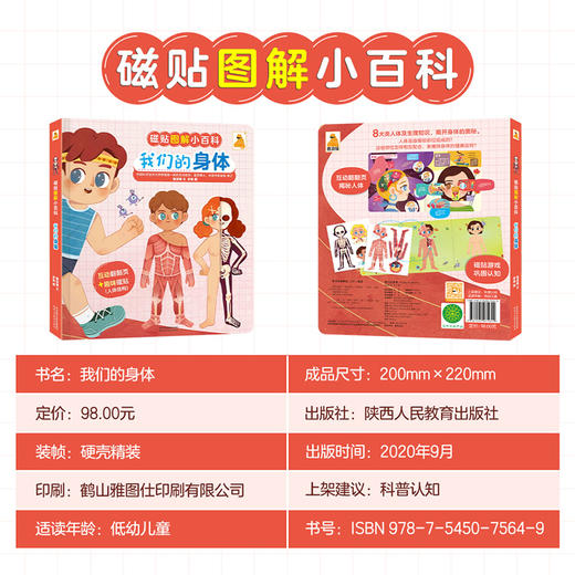 傲游猫-磁贴图解小百科 我们的身体 商品图8