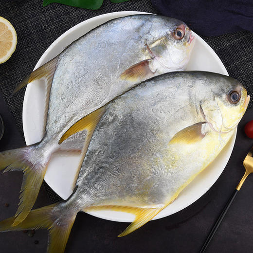 金鲳鱼 商品图0