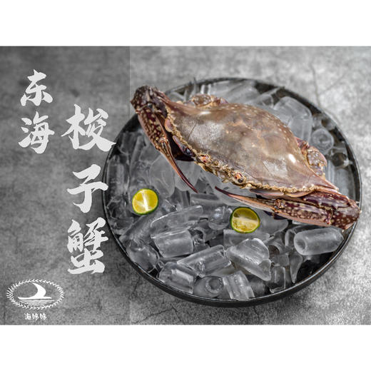 舟山梭子蟹（4kg/箱）  约7-10只  液氮锁鲜冷冻梭子蟹 商品图0