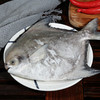 斗鲳 2.5斤左右 商品缩略图0