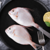 真鲷 商品缩略图0