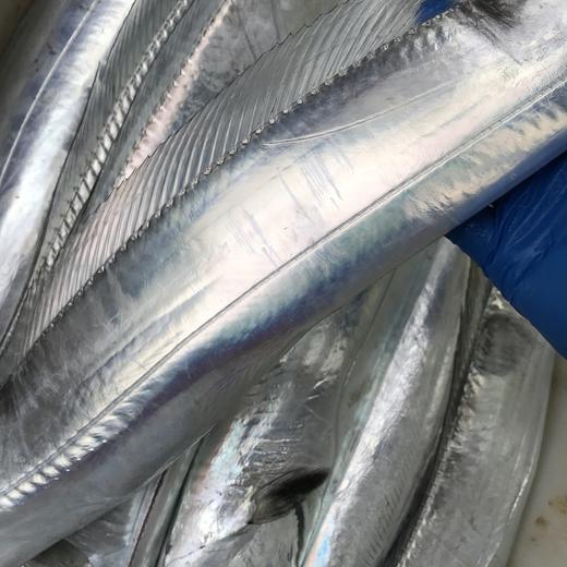 中带鱼450克 商品图0