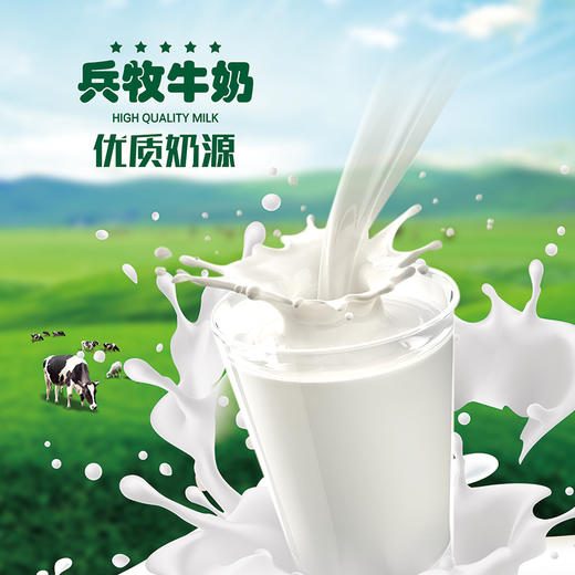 新疆兵牧纯牛奶200*12（盒） 商品图2