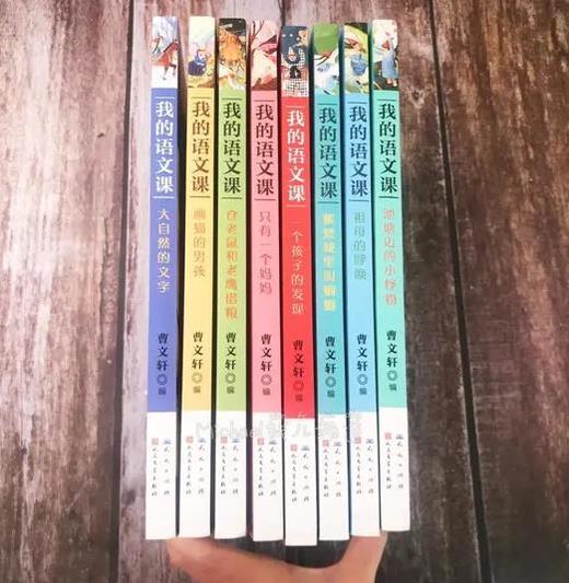 我的语文课（全8册）6-14岁 专为中小学孩子打造  配有专家精心撰写的导读 全面提升语文水平 商品图8