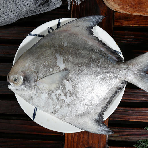 斗鲳 1斤左右 商品图0