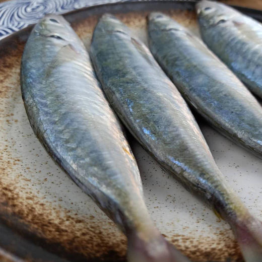 巴浪鱼 商品图0