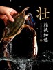 舟山梭子蟹（4kg/箱）  约7-10只  液氮锁鲜冷冻梭子蟹 商品缩略图2