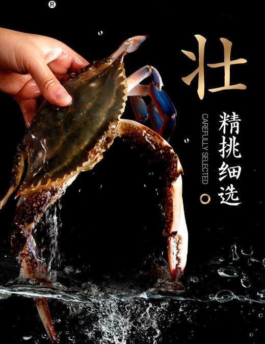 舟山梭子蟹（4kg/箱）  约7-10只  液氮锁鲜冷冻梭子蟹 商品图2